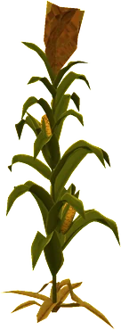 The Corn in Rust, drawn from the game's own model