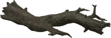 The Dead log in Rust, drawn from the game's own model