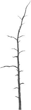 The Dead pine in Rust, drawn from the game's own model