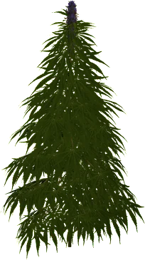 The Hemp Fibers in Rust, drawn from the game's own model