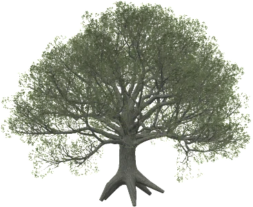 The Oak in Rust, drawn from the game's own model