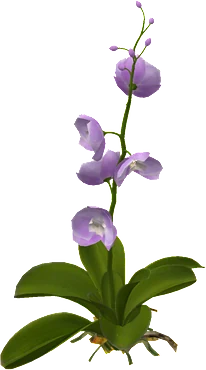 The Orchid in Rust, drawn from the game's own model