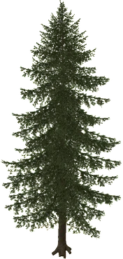 The Pine in Rust, drawn from the game's own model