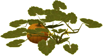 The Pumpkin in Rust, drawn from the game's own model