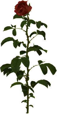 The Rose in Rust, drawn from the game's own model