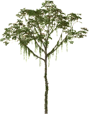 The Trumpet tree in Rust, drawn from the game's own model