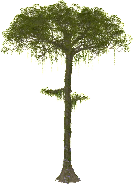 The Vine swinging tree in Rust, drawn from the game's own model